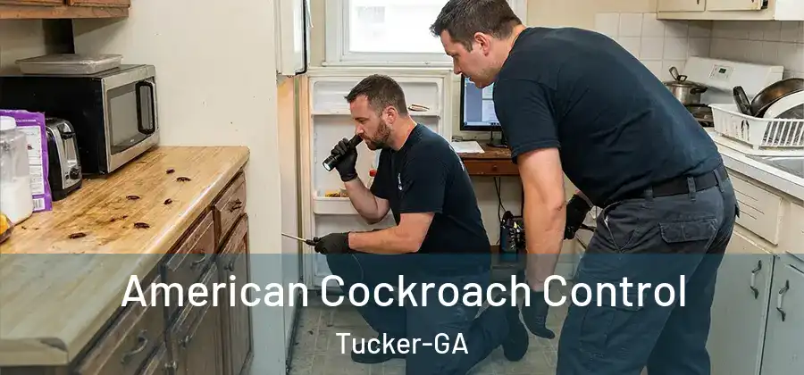 American Cockroach Control Tucker-GA