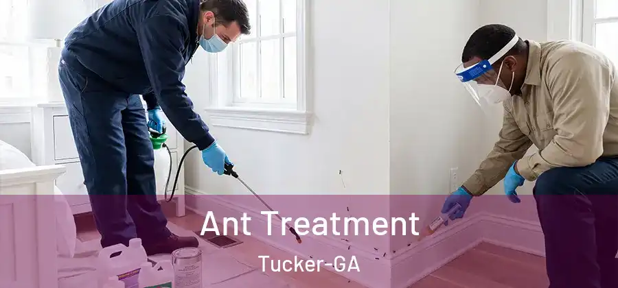 Ant Treatment Tucker-GA