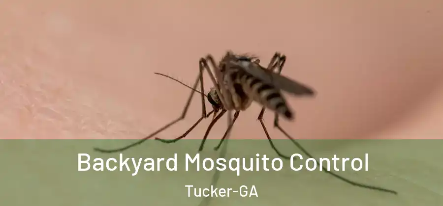 Backyard Mosquito Control Tucker-GA