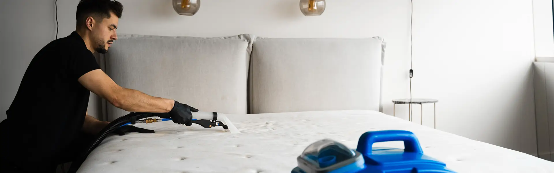 Affordable Bed Bug Treatment
