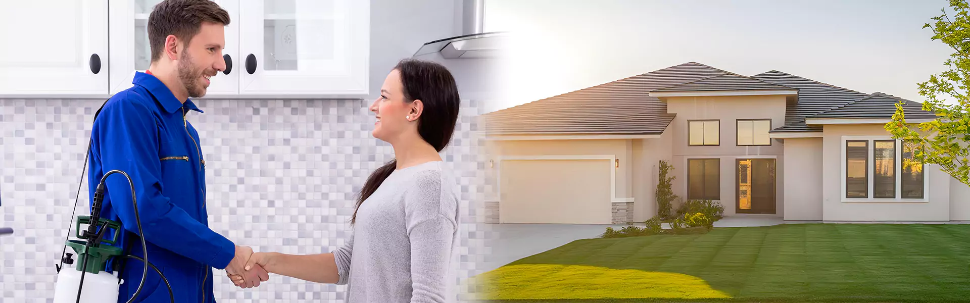 Attic Termite Treatment