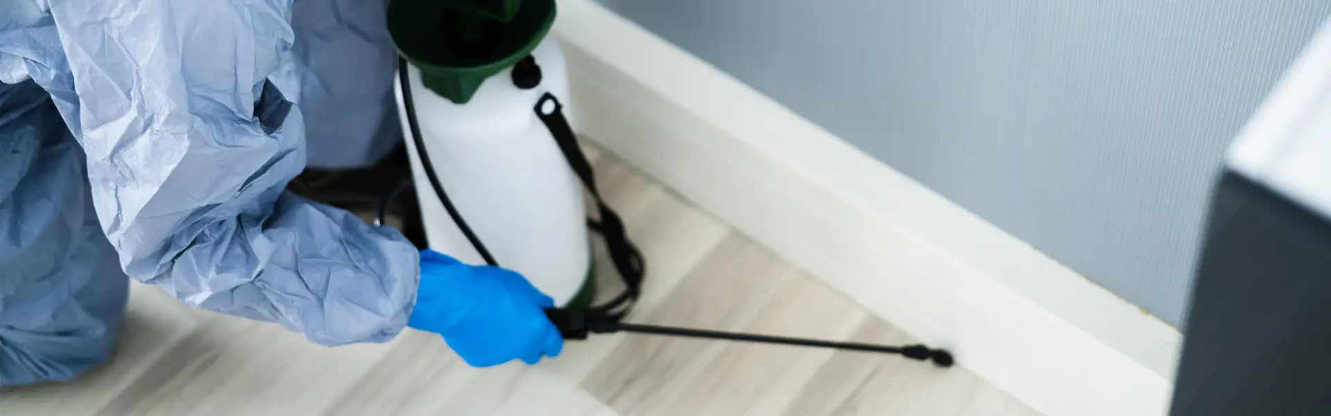 Bed Bug Bite Treatment