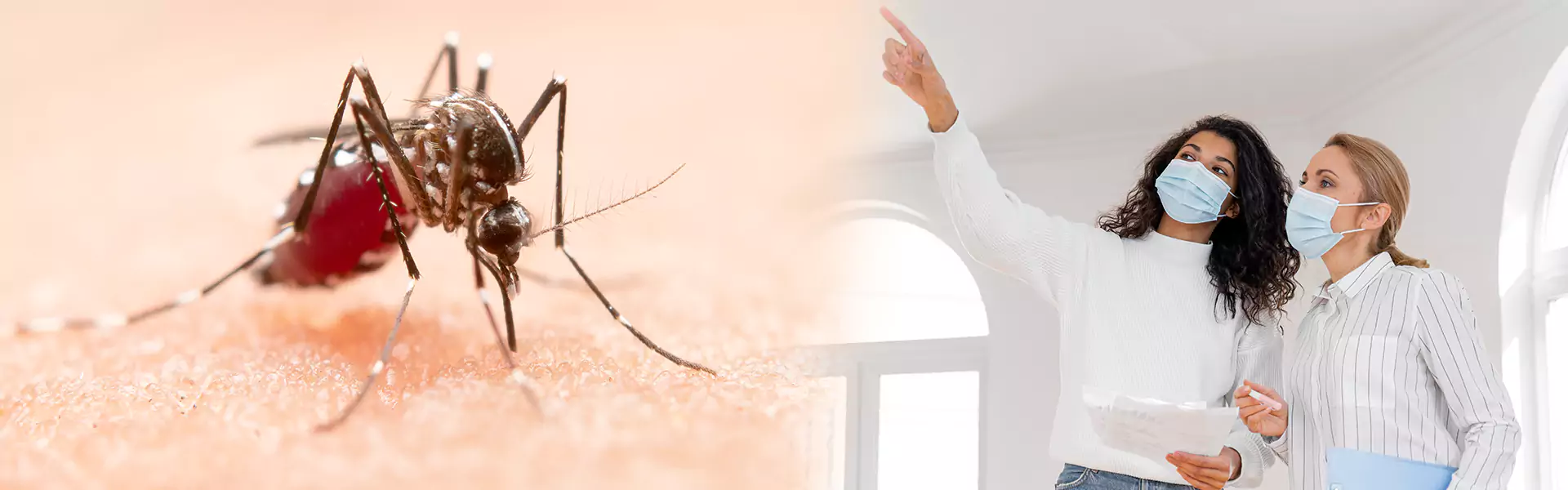 Indoor Mosquito Control
