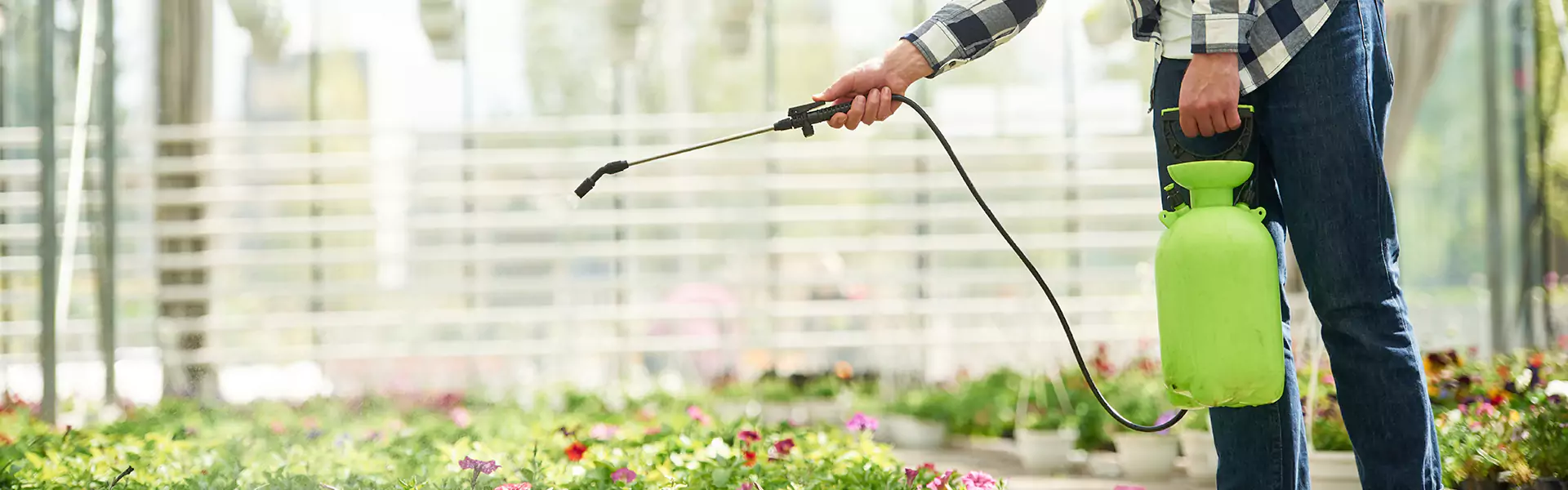 Mosquito Exterminator