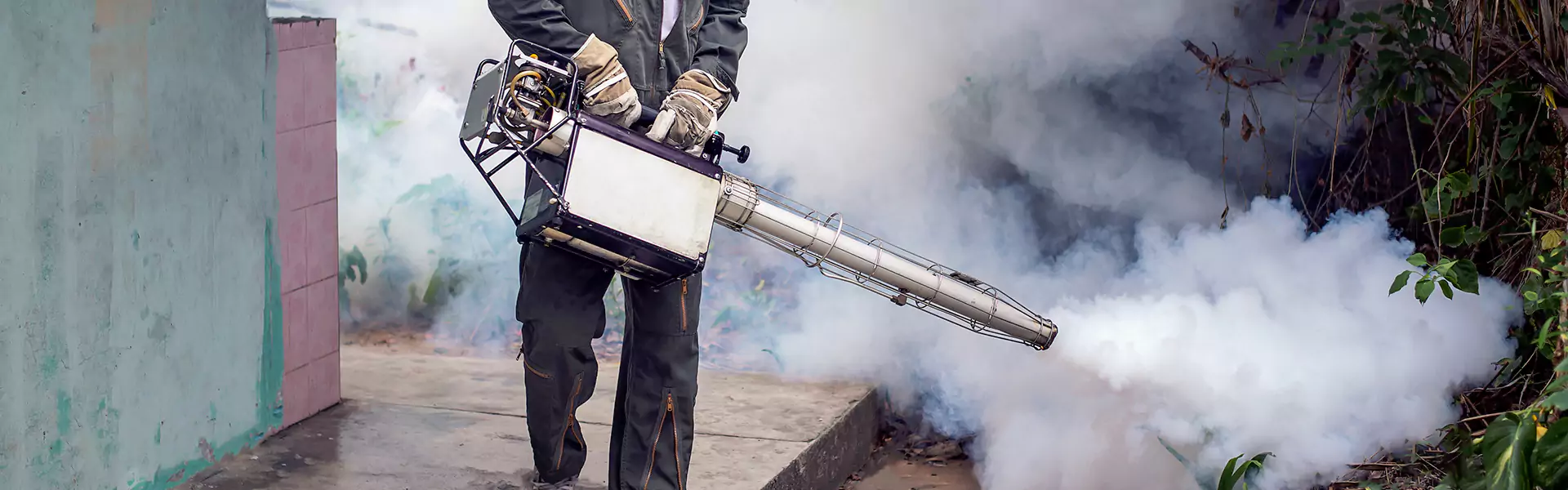 Mosquito Fogging