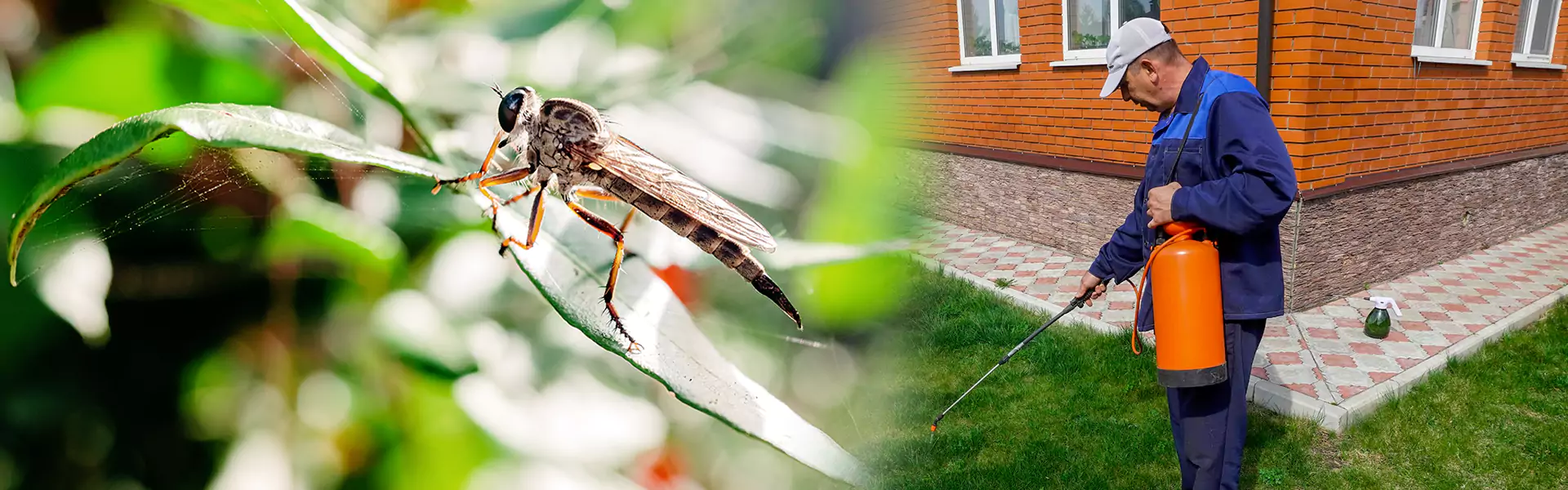 Outdoor Mosquito Control