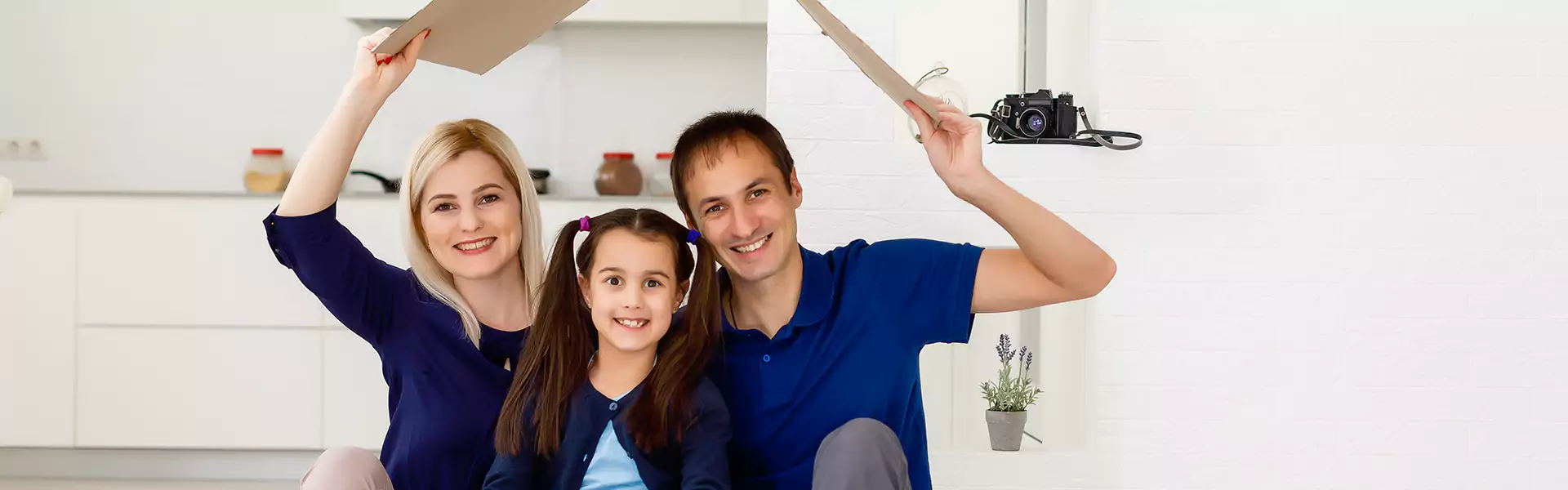 Pest Control Cost