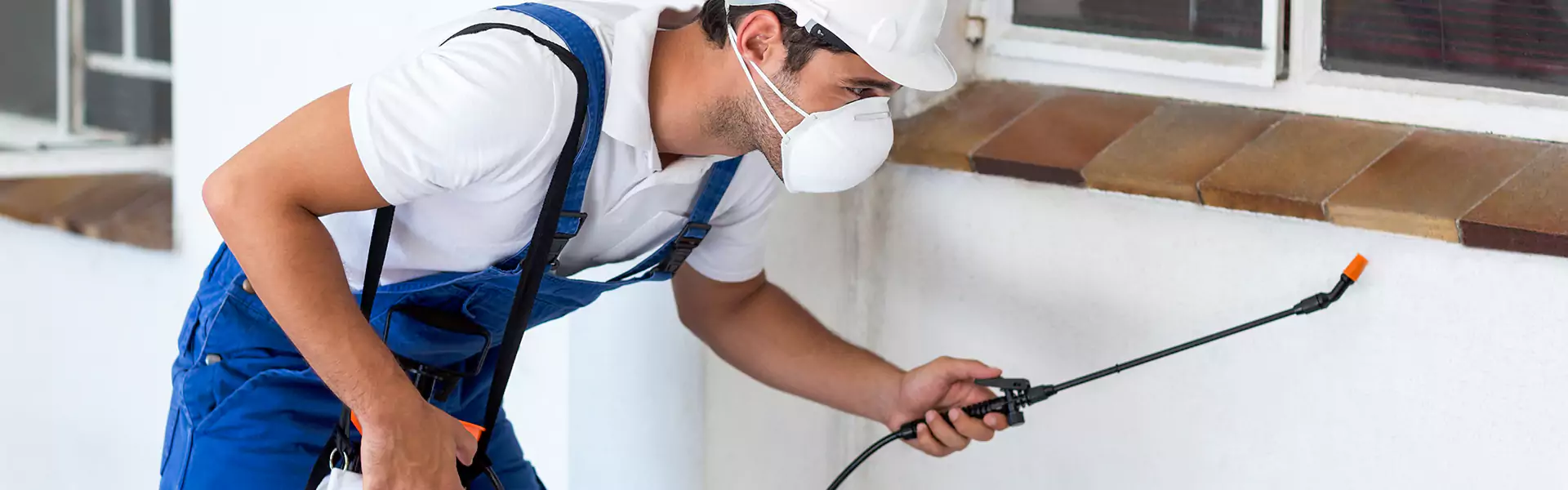 Subterranean Termite Treatment