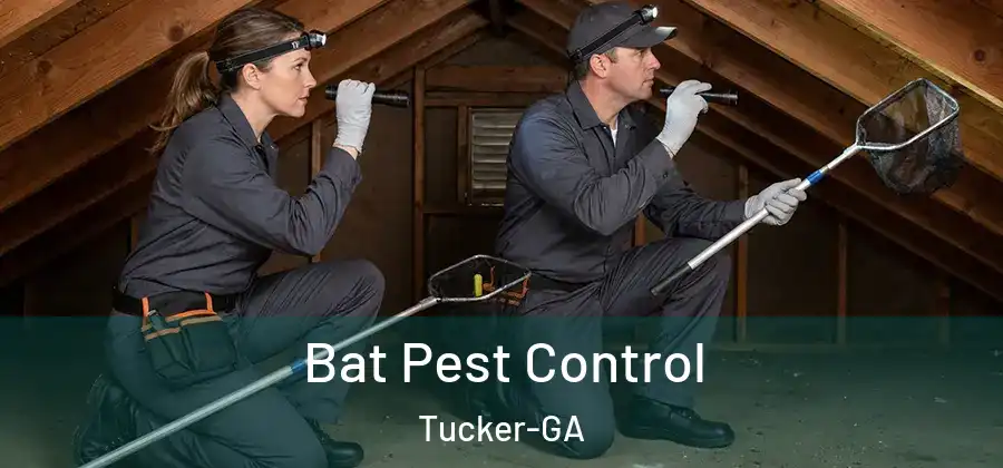 Bat Pest Control Tucker-GA
