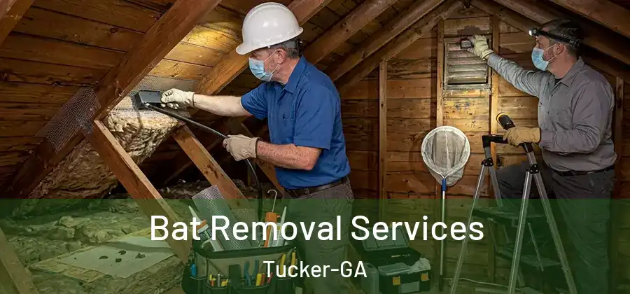 Bat Removal Services Tucker-GA