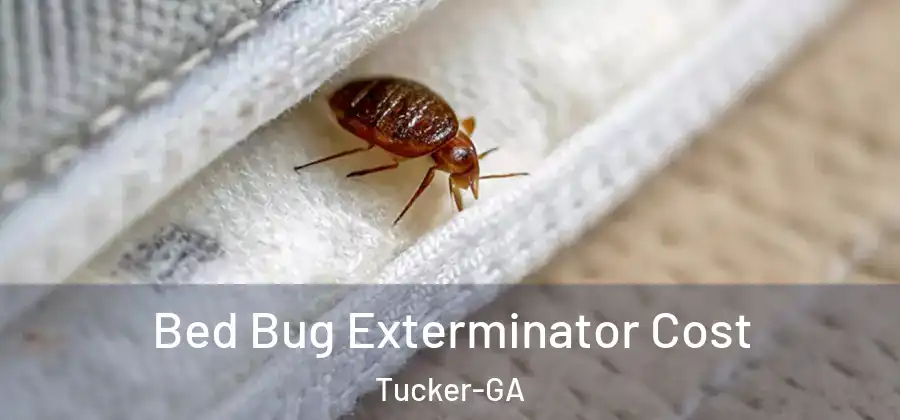 Bed Bug Exterminator Cost Tucker-GA
