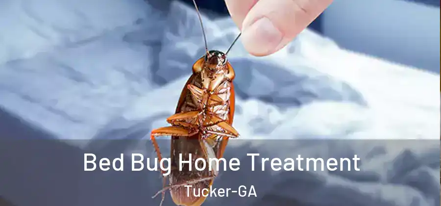 Bed Bug Home Treatment Tucker-GA