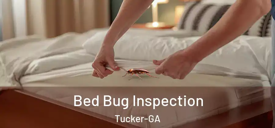 Bed Bug Inspection Tucker-GA