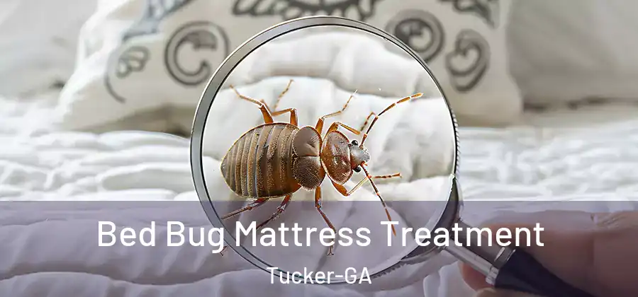 Bed Bug Mattress Treatment Tucker-GA
