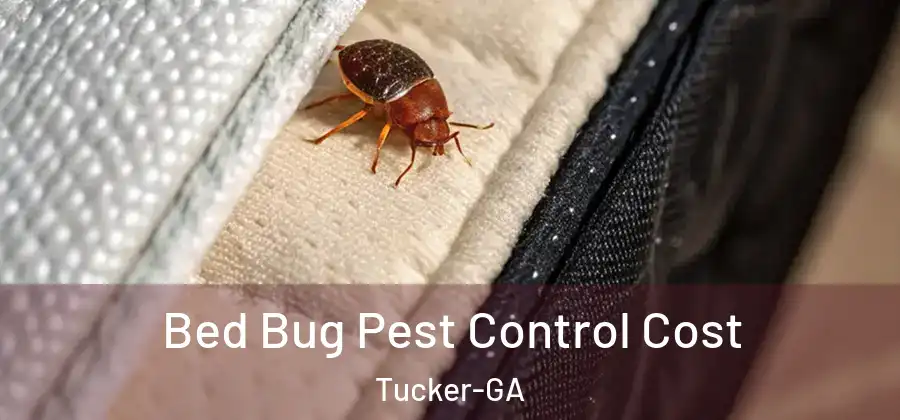 Bed Bug Pest Control Cost Tucker-GA