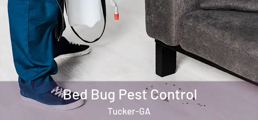  Bed Bug Pest Control Tucker-GA