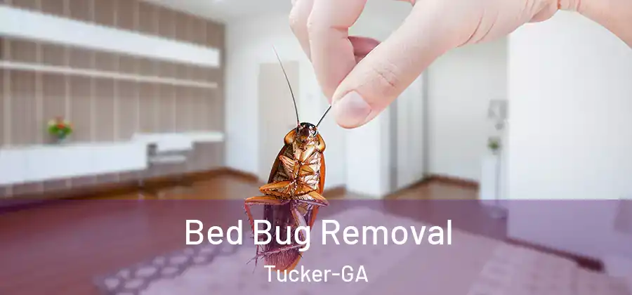 Bed Bug Removal Tucker-GA