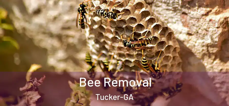  Bee Removal Tucker-GA