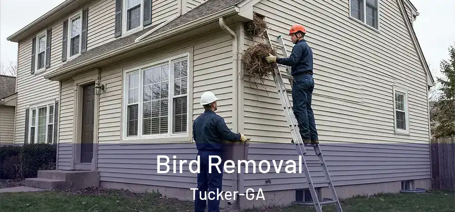 Bird Removal Tucker-GA