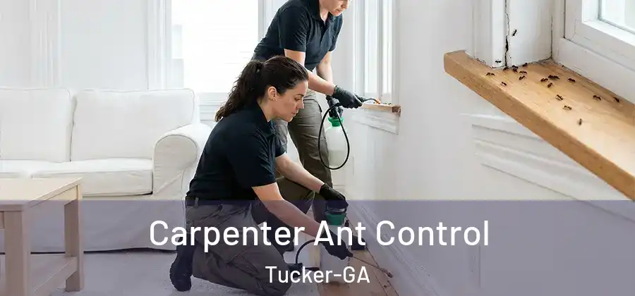 Carpenter Ant Control Tucker-GA
