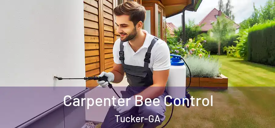 Carpenter Bee Control Tucker-GA