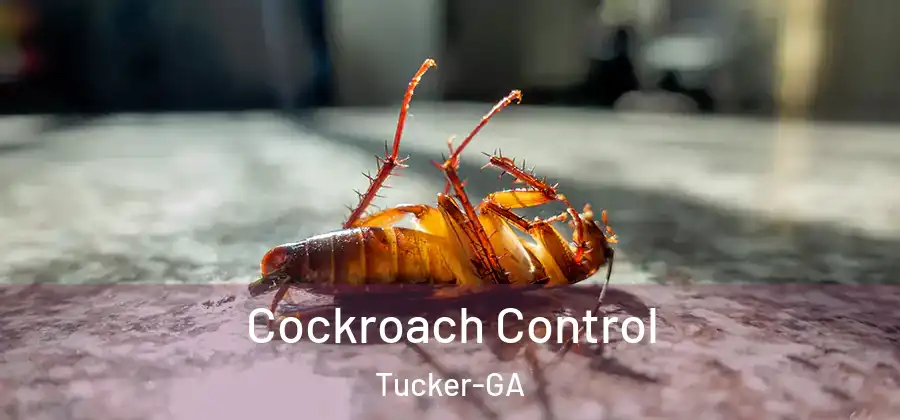 Cockroach Control Tucker-GA