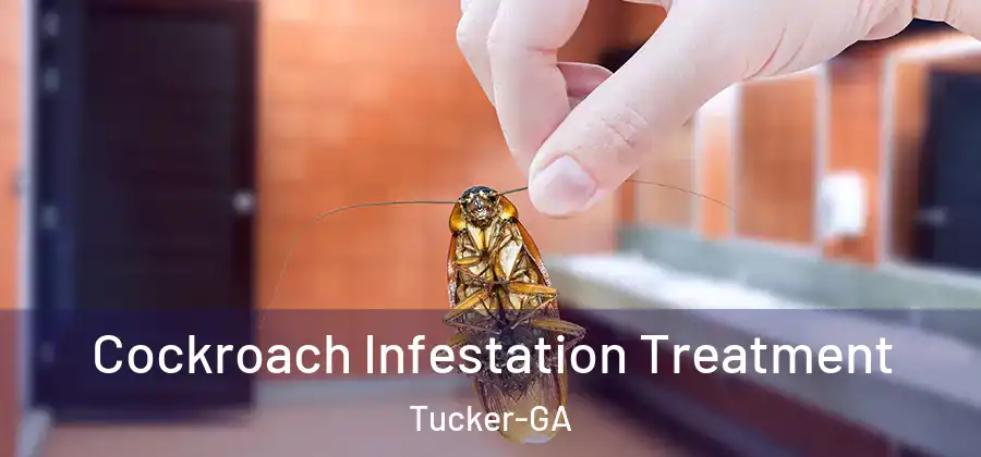 Cockroach Infestation Treatment Tucker-GA