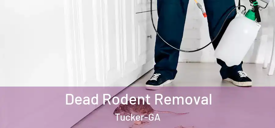 Dead Rodent Removal Tucker-GA