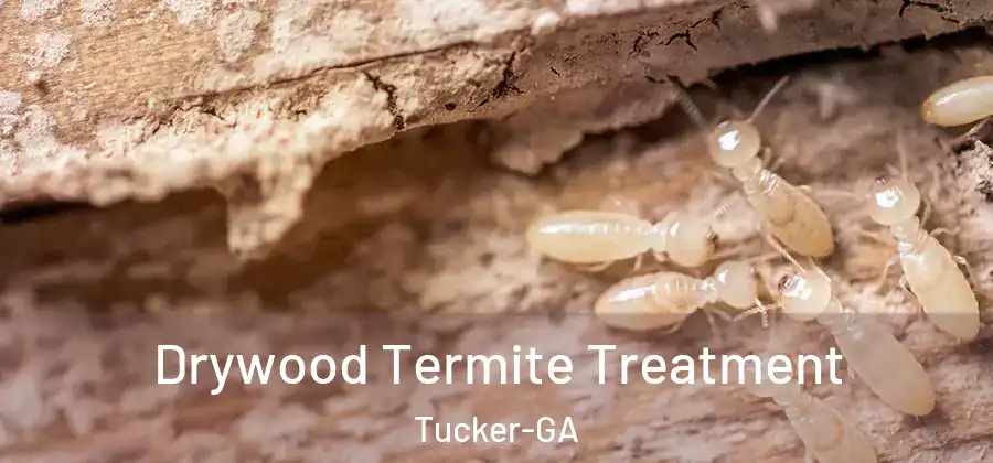 Drywood Termite Treatment Tucker-GA