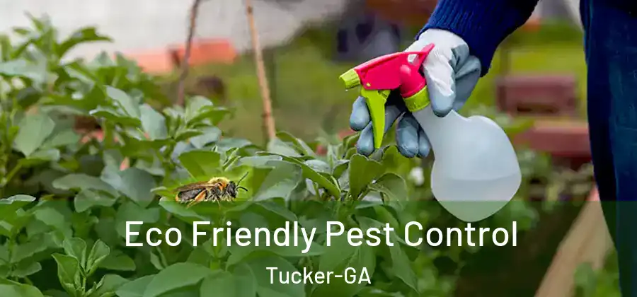 Eco Friendly Pest Control Tucker-GA