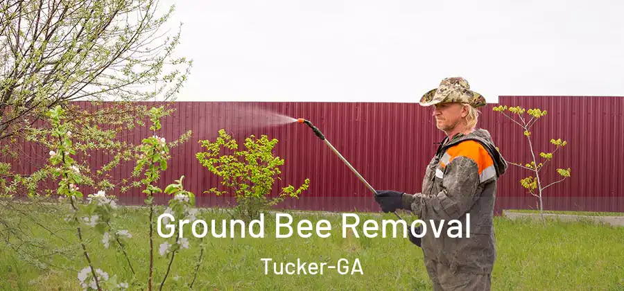 Ground Bee Removal Tucker-GA