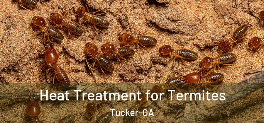 Heat Treatment for Termites Tucker-GA