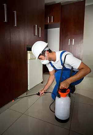 Indoor Pest Control