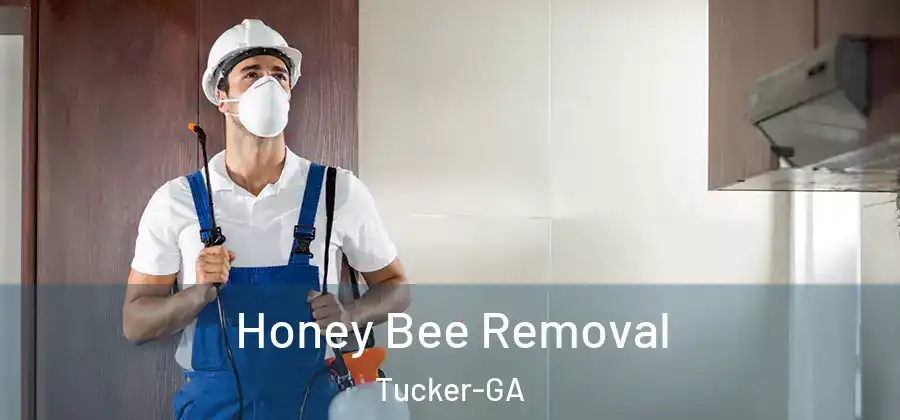 Honey Bee Removal Tucker-GA