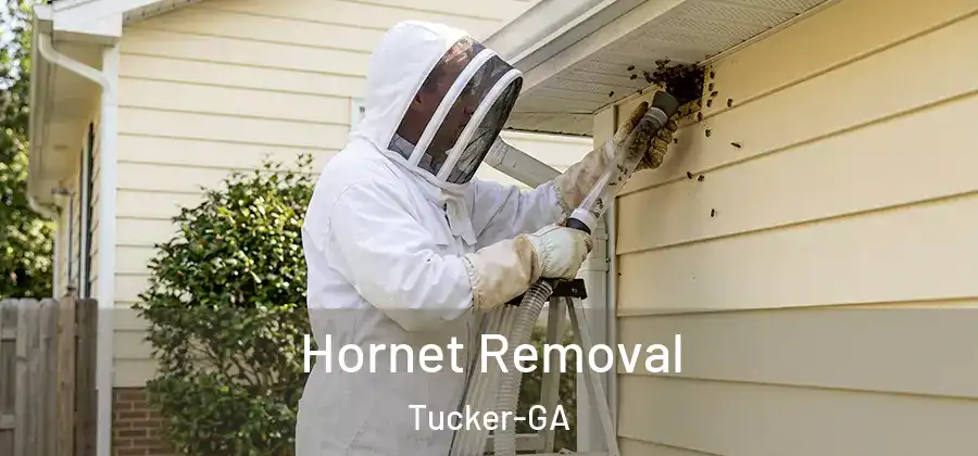 Hornet Removal Tucker-GA