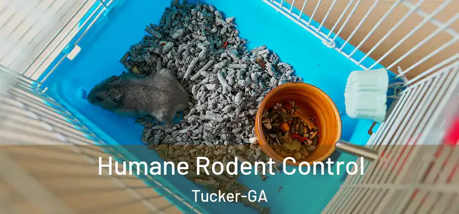 Humane Rodent Control Tucker-GA