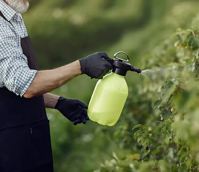 Your Proven Mosquito Treatment Company in Tucker, GA