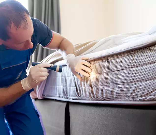 Trusted Bed Bug Cost Experts in Tucker, GA