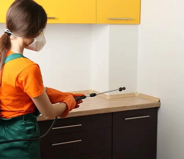 Trusted Bed Bug Pest Control Specialist in Tucker, GA