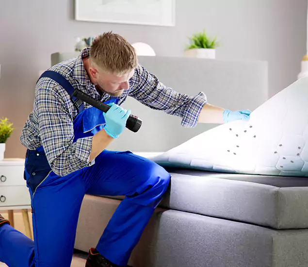 Trusted Bed Bug Remediation Experts in Tucker, GA