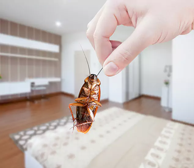 Cockroach Exterminator