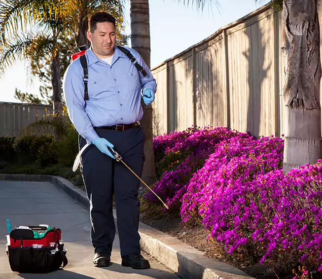 About Our Eco Safe Pest Control Experts in Tucker, GA