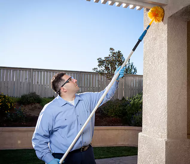 Trusted Experts in Tucker GA for Formosan Termite Treatment and Black Termite Control