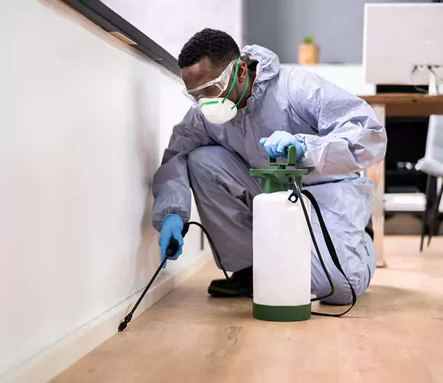 Leading Industrial Pest Control Experts Serving Tucker, GA