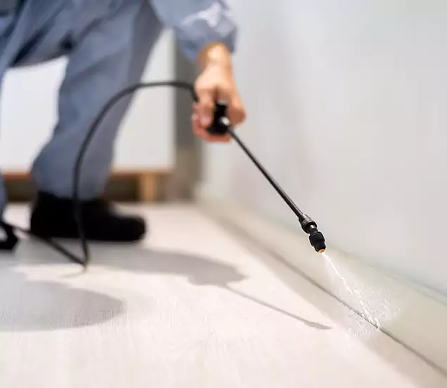 About Our Liquid Termite Treatment Experts in Tucker, GA