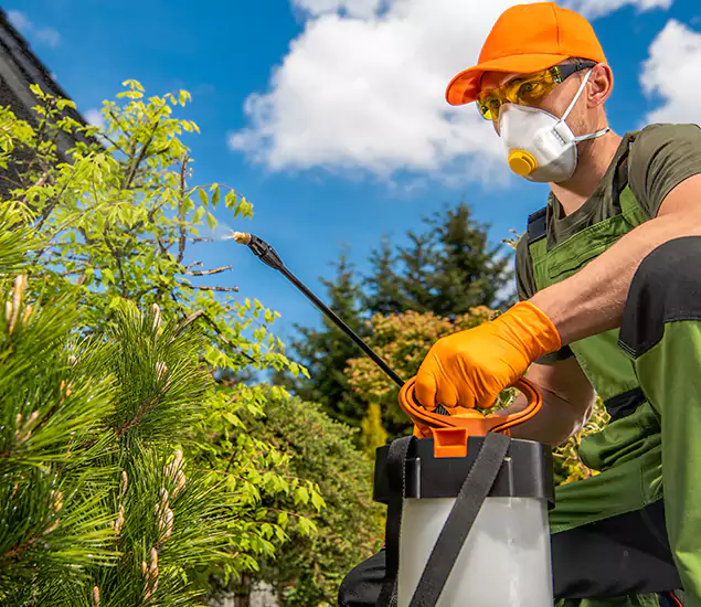 Mosquito Exterminator