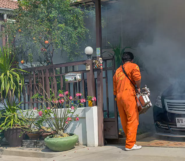 Your Proven Mosquito Fogging Company in Tucker, GA