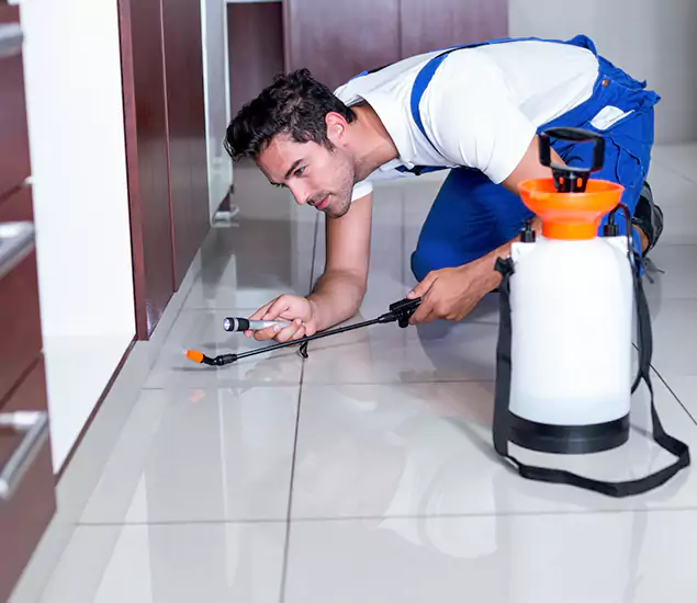 Reliable Professional Mouse Removal: Your Best Mouse Control Company in Tucker, GA