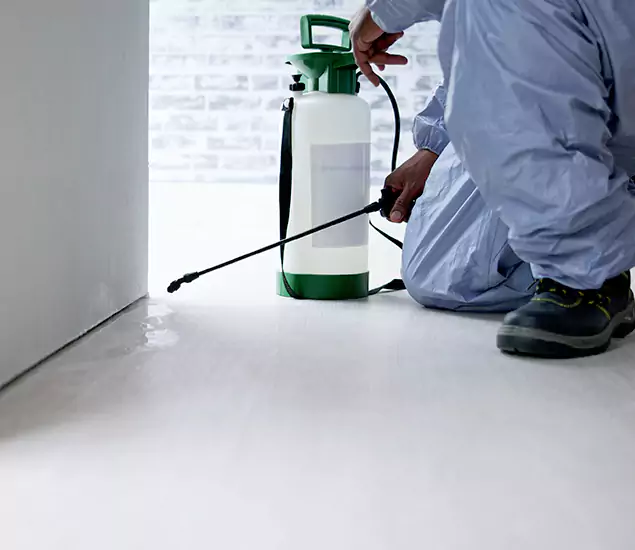 Affordable Pest Control Experts in Tucker, GA
