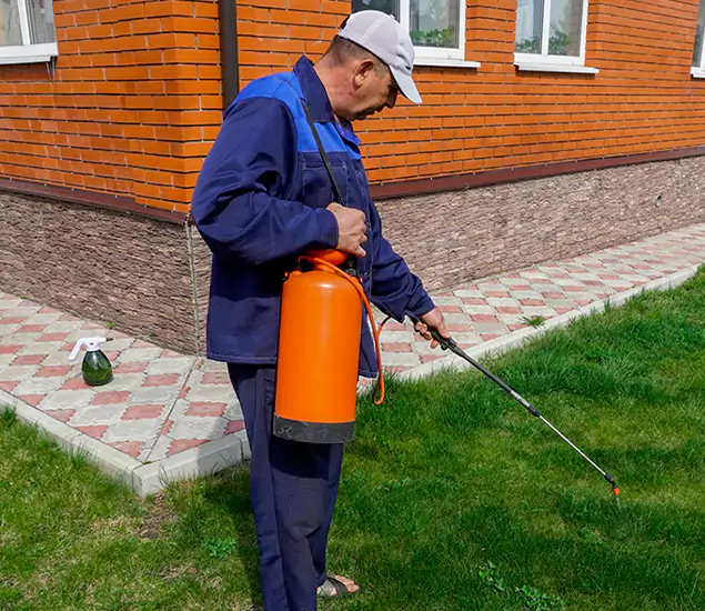 Pest Control Services